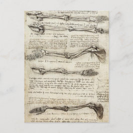 Postal Leonardo da Vinci - Estudios del arte artístico de