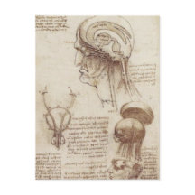 Leonardo da Vinci - Fisiología del cerebro