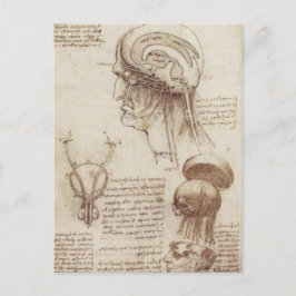 Postal Leonardo da Vinci - Fisiología del cerebro