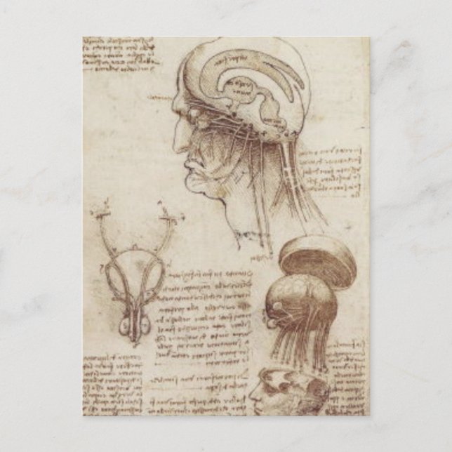 Postal Leonardo da Vinci - Fisiología del cerebro (Anverso)