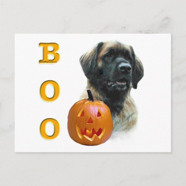 Postal Leonberger Boo (Anverso)