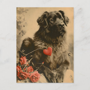 Postal Leonberger El día de San Valentín Vintage