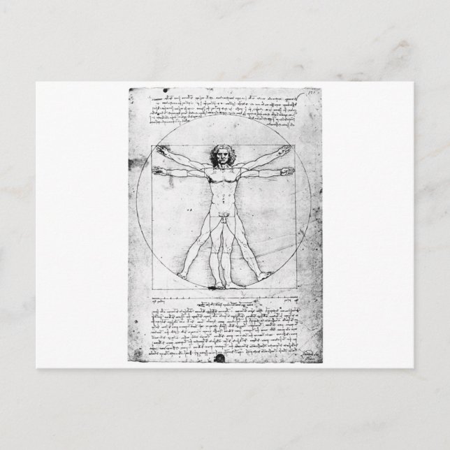 Postal Leondardo Da Vinci Proporción Man (Anverso)