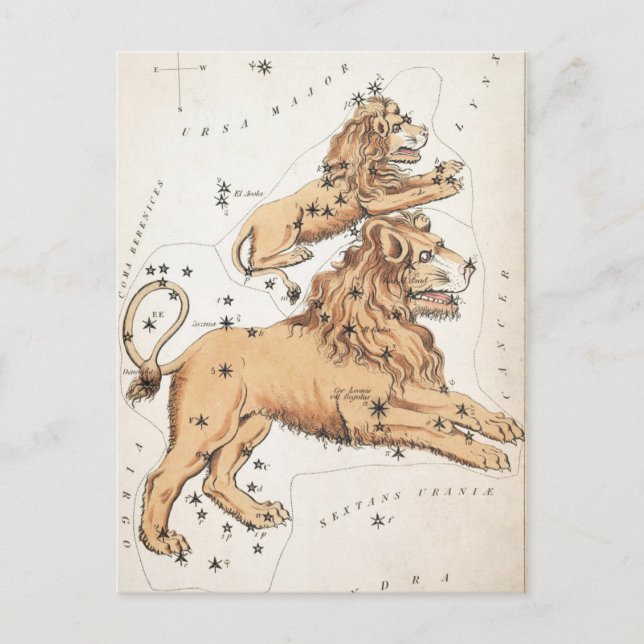 Postal Leones celestes vintage (Anverso)