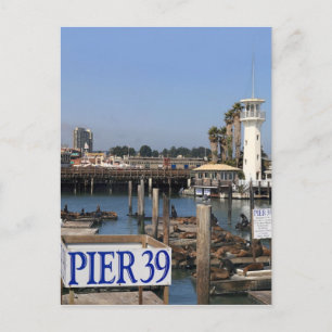 Postal Leones del Mar de California