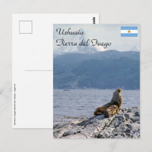 Postal Leones marinos en el canal de Beagle - Argentina