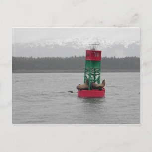 Postal Leones marinos en Juneau, Alaska