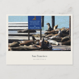 Postal Leones marinos en Pier 39 en San Francisco