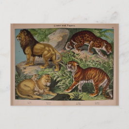 Postal Leones y tigres vintage epemera de arte