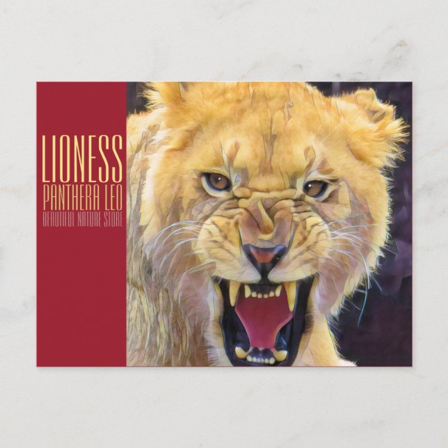 Postal Leoness [postal] (Anverso)