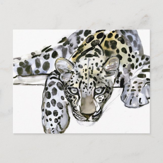 Postal Leopard árabe 2008 6 (Anverso)