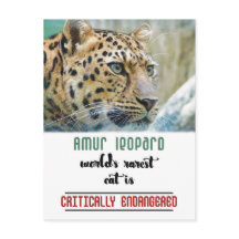 Leopard Protect the Wildlife, cita