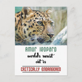 Postal Leopard Protect the Wildlife, cita