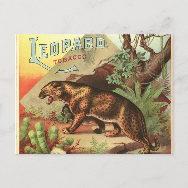 Postal Leopard Tobacco 1900 (Anverso)