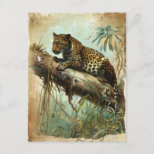Postal Leopard Vintage