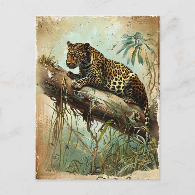 Postal Leopard Vintage (Anverso)