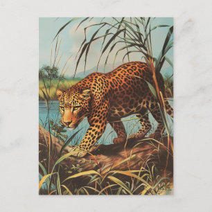 Postal Leopard Vintage
