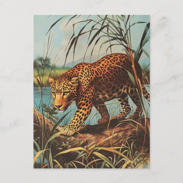 Postal Leopard Vintage (Anverso)