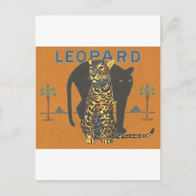 Postal Leopard Vintage (Anverso)