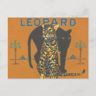 Postal Leopard y Panther