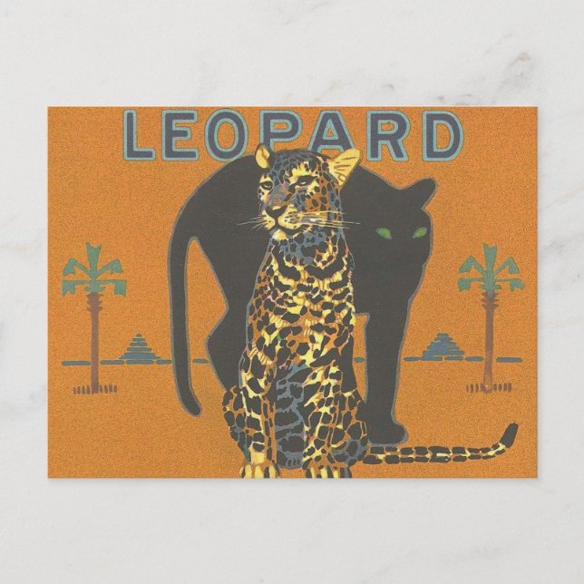 Postal Leopard y Panther (Anverso)