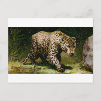 Postal Leopardo