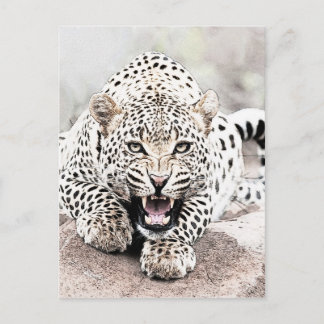 Postal Leopardo