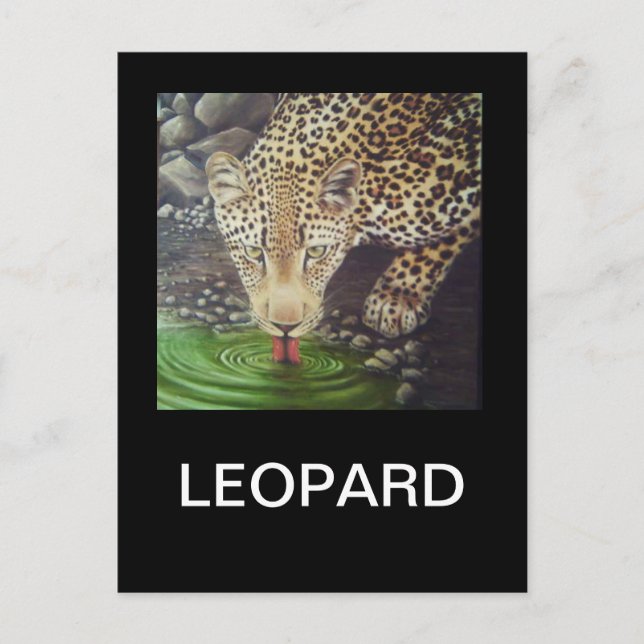 Postal Leopardo africano (Anverso)