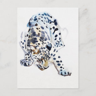 Postal Leopardo árabe 2008 5