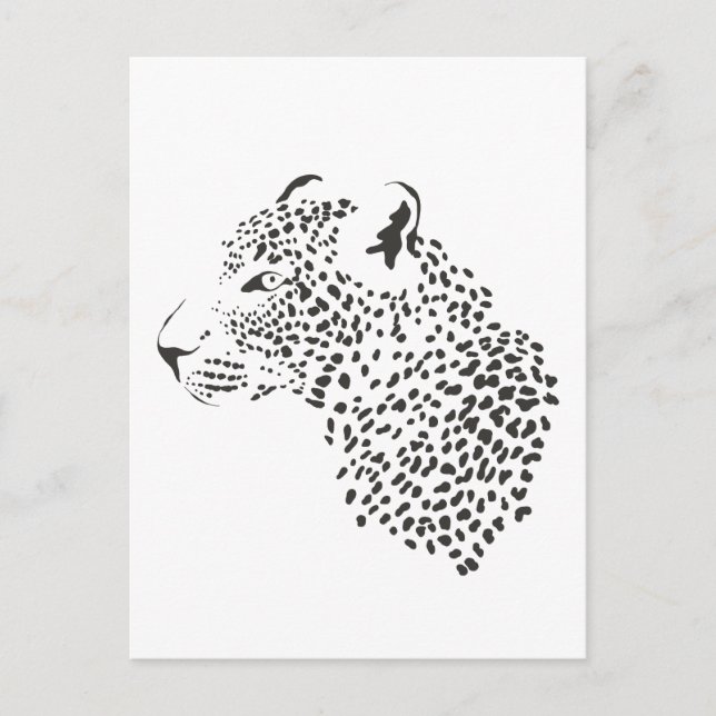Postal Leopardo Blanco Y Negro (Anverso)