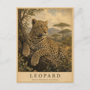 Postal Leopardo Bosques del este de África VINTAGE