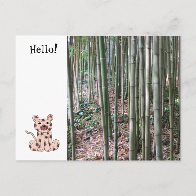 Postal Leopardo de dibujos animados y bosque de bambú (Anverso)
