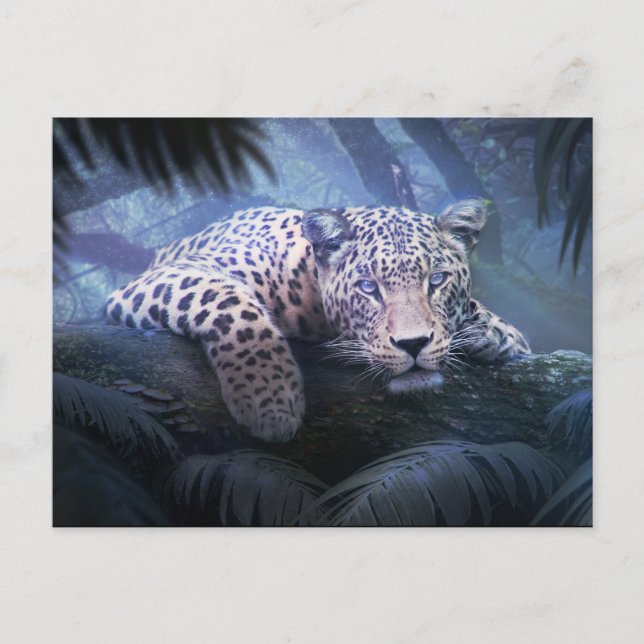 Postal Leopardo de la jungla mística (Anverso)