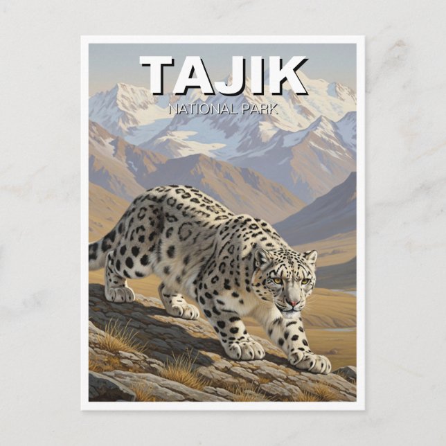 Postal Leopardo de la nieve en el parque nacional tayiko  (Anverso)