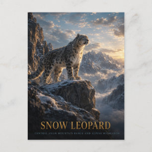 Postal Leopardo de las Nieves Tierras Altas Alpinas ANIMA