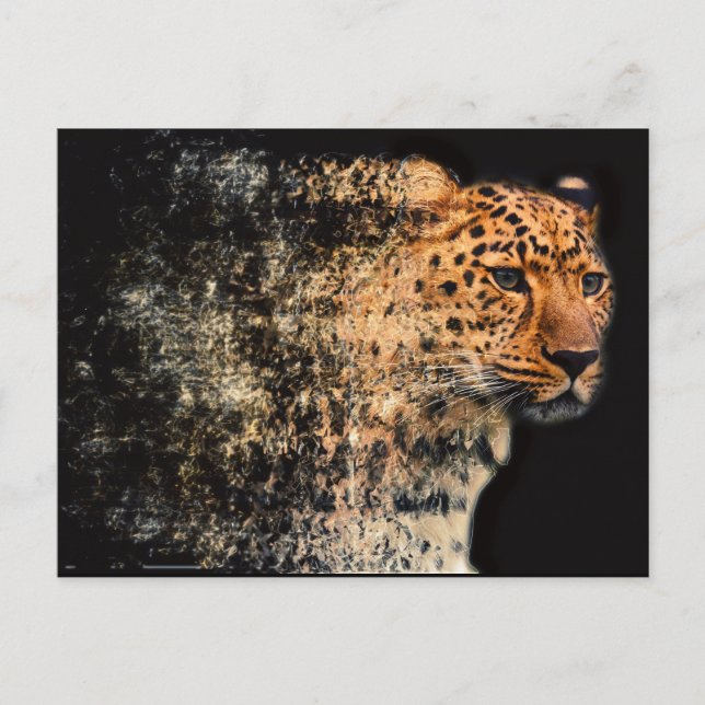 Postal Leopardo destrozado (Anverso)