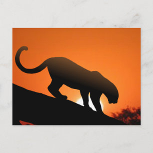 Postal Leopardo en el árbol
