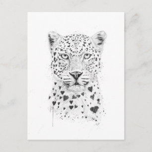 Postal Leopardo encantador