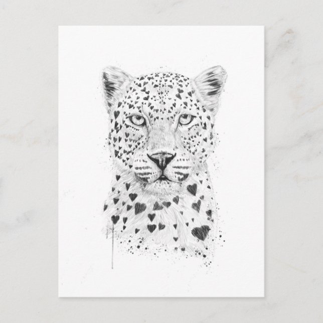 Postal Leopardo encantador (Anverso)