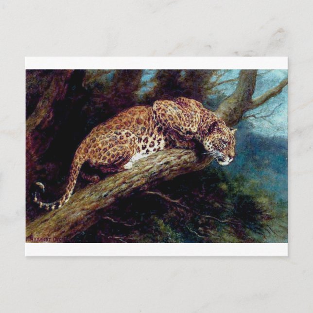 Postal leopardo gato salvaje animal pintura antigua (Anverso)
