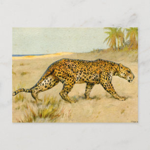 Postal Leopardo, pastel, artista desconocido