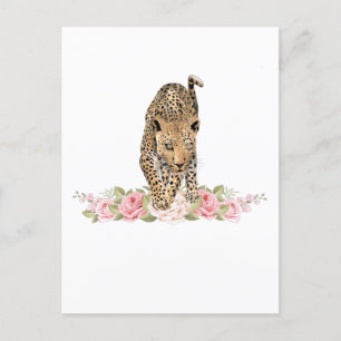 Postal Leopardo, Rosa leopardo, flor leopardo