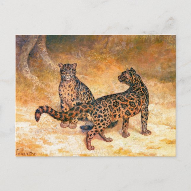 Postal Leopardos de Jacques-Laurent Agasse (Anverso)