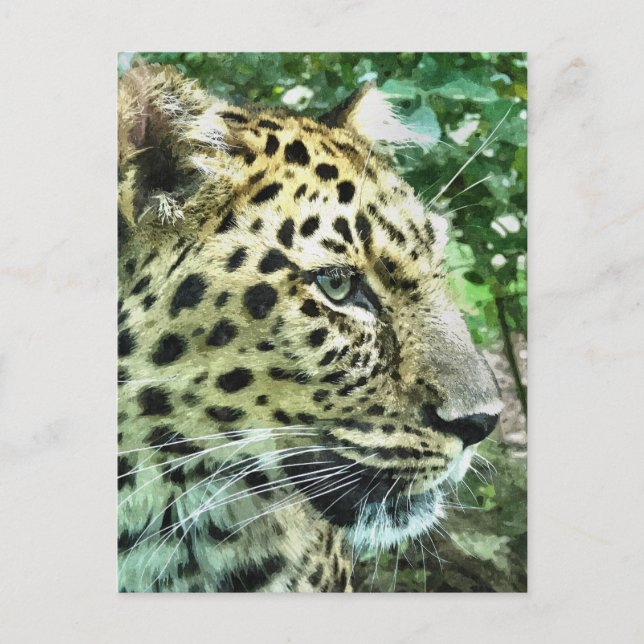 POSTAL LEOPARDS (Anverso)