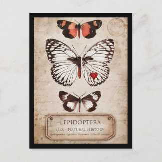 Postal Lepidoptera