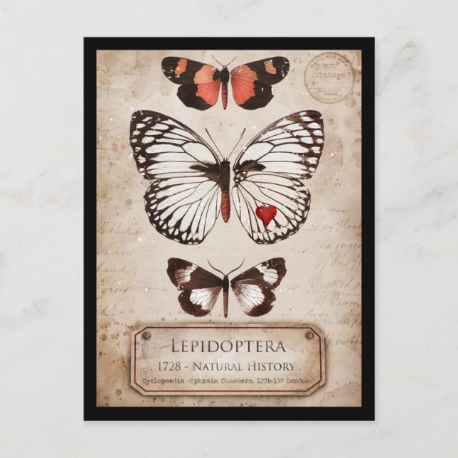 Postal Lepidoptera (Anverso)