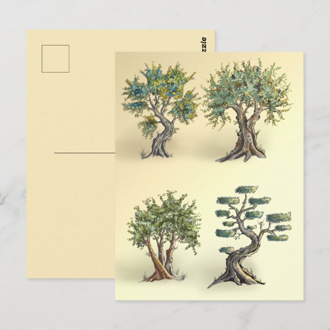 Postal Les oliviers en Provence taillés. (Anverso / Reverso)