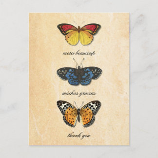 Postal Les Papillons Gracias Postcard