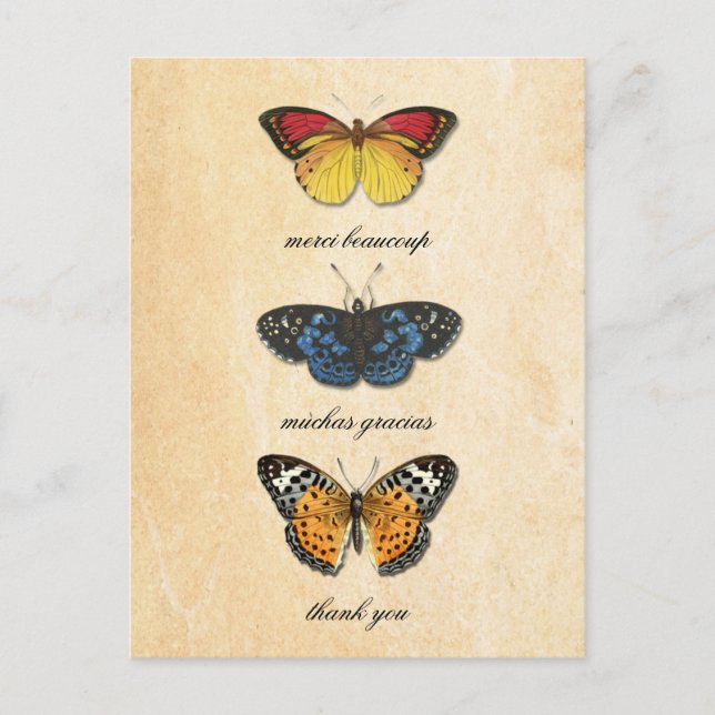 Postal Les Papillons Gracias Postcard (Anverso)