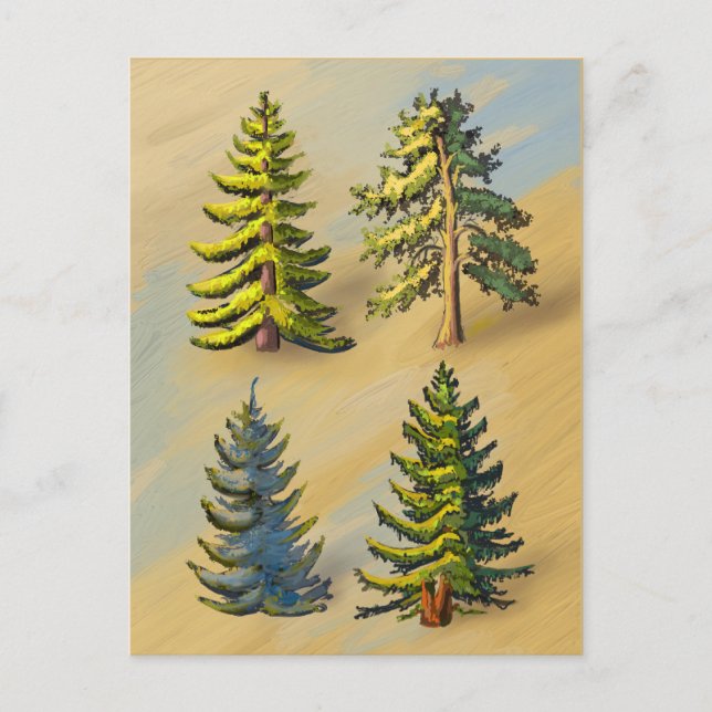 Postal Les quatres variétés de sapins, botanique. (Anverso)